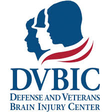 DVBIC