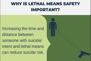 Rocky Mountain MIRECC for Veteran Suicide Prevention